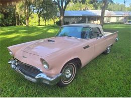 1957 Ford Thunderbird (CC-1635697) for sale in Cadillac, Michigan