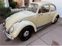 1966 Volkswagen Beetle (CC-1635699) for sale in Cadillac, Michigan