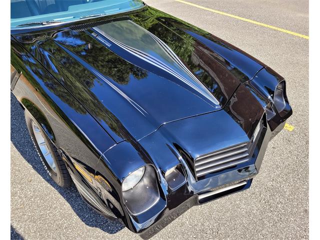 1981 Chevrolet Camaro Z28 (CC-1636007) for sale in Cumming , Georgia