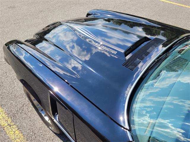 1981 Chevrolet Camaro Z28 (CC-1636007) for sale in Cumming , Georgia