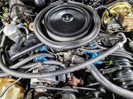 1981 Chevrolet Camaro Z28 (CC-1636007) for sale in Cumming , Georgia