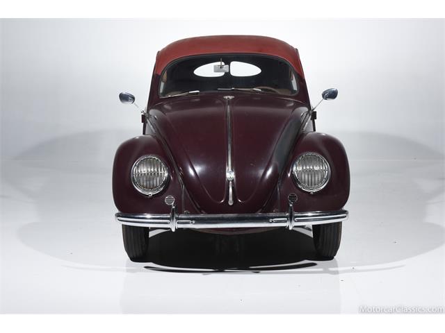 1950 Volkswagen Beetle (CC-1630662) for sale in Farmingdale, New York
