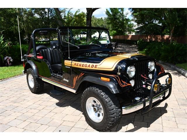 1974 Jeep Wrangler (CC-1636874) for sale in Lakeland, Florida