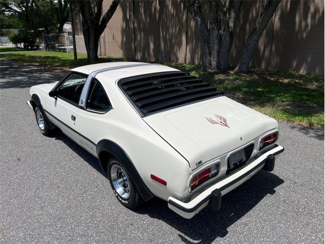 1978 AMC AMX for Sale | ClassicCars.com | CC-1636905