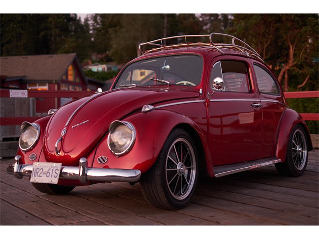 1971 Volkswagen Beetle (CC-1636959) for sale in Salt Spring Island, British Columbia