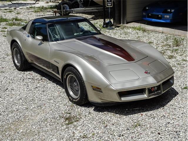 1982 Chevrolet Corvette (CC-1637088) for sale in Palmetto, Florida