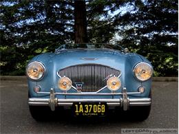 1955 Austin-Healey 100 (CC-1630072) for sale in Sonoma, California
