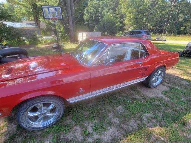 1967 Ford Mustang (CC-1637366) for sale in Cadillac, Michigan