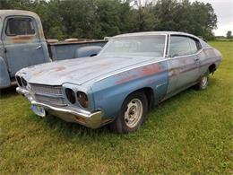 1970 Chevrolet Chevelle Malibu (CC-1637728) for sale in THIEF RIVER FALLS, Minnesota