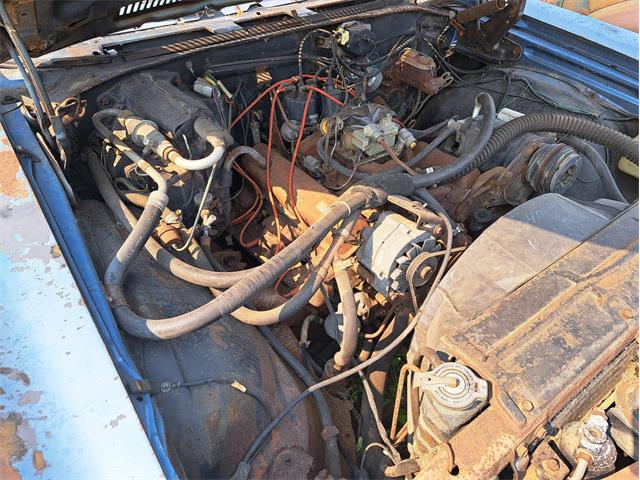 1970 Chevrolet Chevelle Malibu (CC-1637728) for sale in THIEF RIVER FALLS, Minnesota
