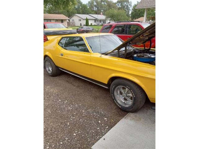 1972 Ford Mustang (CC-1637792) for sale in Cadillac, Michigan
