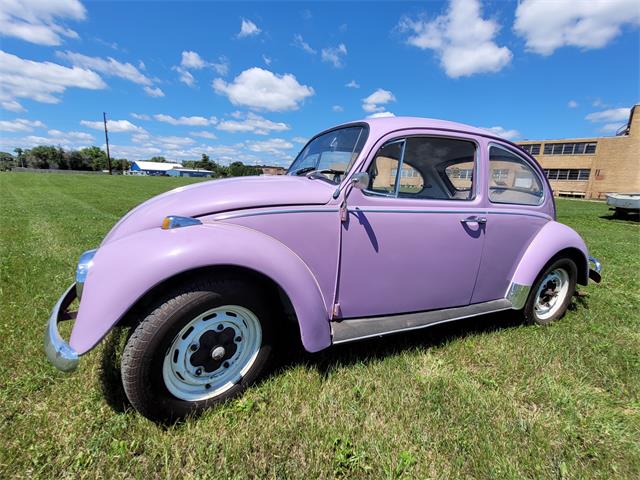 1967 Volkswagen Beetle (CC-1630080) for sale in DeKalb, Illinois