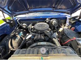 1978 Dodge D100 (CC-1638256) for sale in Cadillac, Michigan