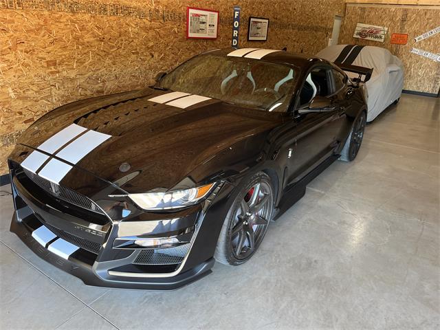 2020 Ford Mustang GT500 (CC-1639029) for sale in Traverse, Michigan