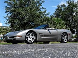 1998 Chevrolet Corvette (CC-1639193) for sale in Palmetto, Florida