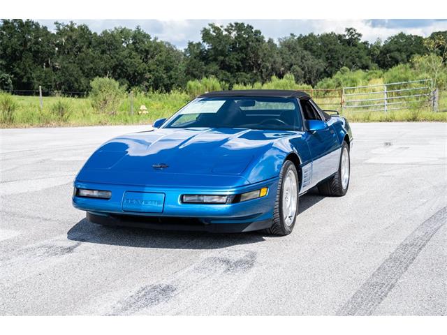 1991 Chevrolet Corvette (CC-1639215) for sale in Ocala, Florida