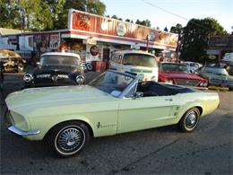 1967 Ford Mustang (CC-1639238) for sale in Jackson, Michigan