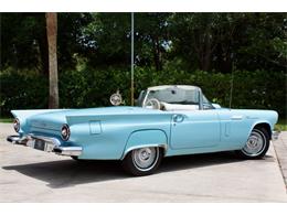 1957 Ford Thunderbird (CC-1639656) for sale in Eustis, Florida
