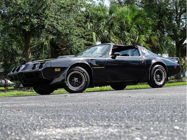 1981 Pontiac Firebird Trans Am (CC-1641390) for sale in Palmetto, Florida