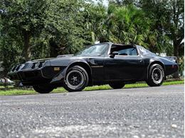 1981 Pontiac Firebird Trans Am (CC-1641390) for sale in Palmetto, Florida