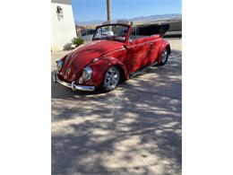 1961 Volkswagen Beetle (CC-1642198) for sale in Lancaster, California