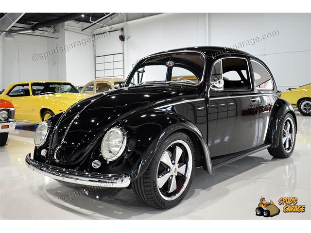 1966 Volkswagen Beetle (CC-1642713) for sale in Roanoke, Texas