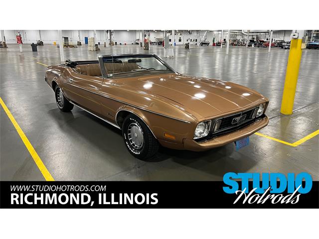 1973 Ford Mustang (CC-1642714) for sale in Richmond, Illinois