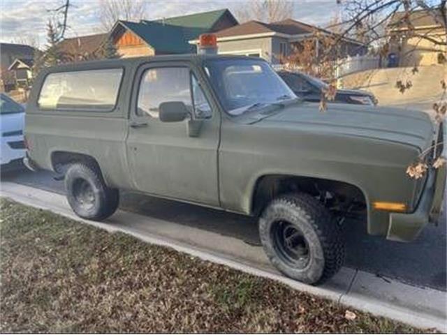 1984 Chevrolet Blazer (CC-1640373) for sale in Cadillac, Michigan