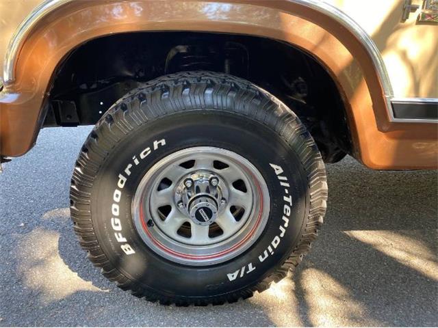 1985 Ford F150 (CC-1643804) for sale in Cadillac, Michigan