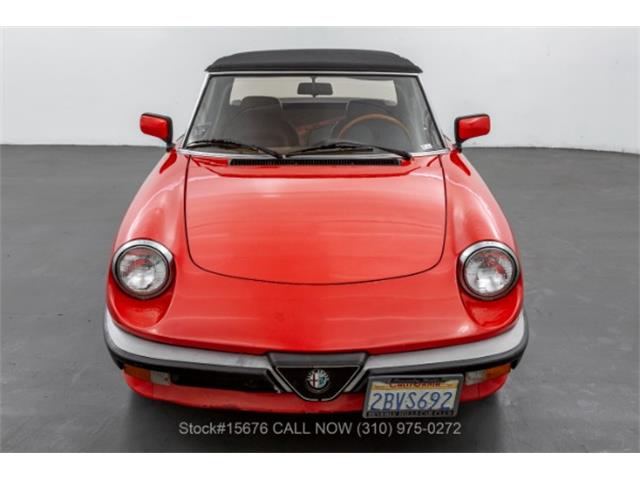 1984 Alfa Romeo Spider (CC-1643805) for sale in Beverly Hills, California