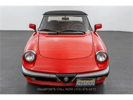 1984 Alfa Romeo Spider (CC-1643805) for sale in Beverly Hills, California