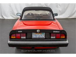 1984 Alfa Romeo Spider (CC-1643805) for sale in Beverly Hills, California