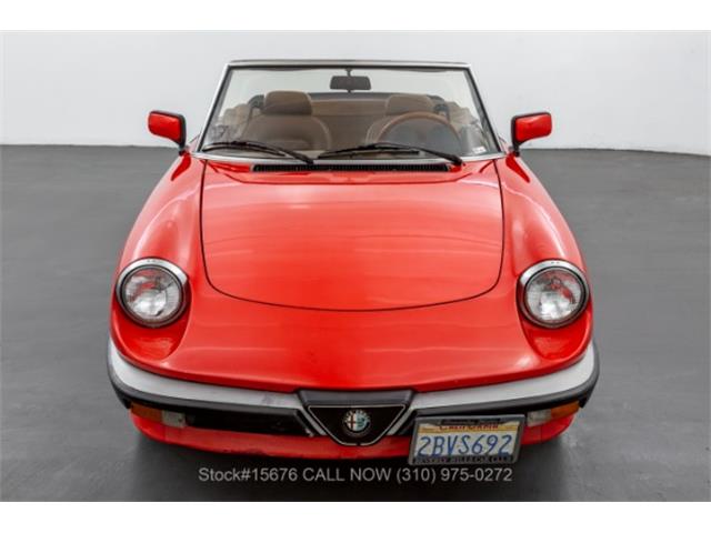 1984 Alfa Romeo Spider (CC-1643805) for sale in Beverly Hills, California