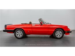 1984 Alfa Romeo Spider (CC-1643805) for sale in Beverly Hills, California