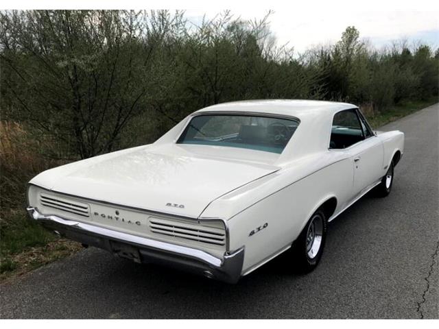 1966 Pontiac GTO (CC-1644021) for sale in Harpers Ferry, West Virginia
