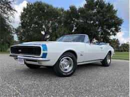 1967 Chevrolet Camaro (CC-1644198) for sale in Clearwater, Florida
