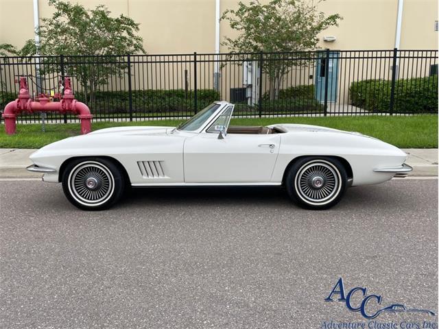 1967 Chevrolet Corvette (CC-1640432) for sale in Clearwater, Florida