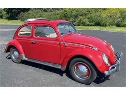 1963 Volkswagen Beetle (CC-1640454) for sale in West Chester, Pennsylvania
