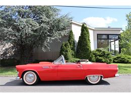 1955 Ford Thunderbird (CC-1644906) for sale in ASTORIA, New York