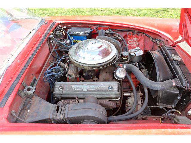 1955 Ford Thunderbird (CC-1644906) for sale in ASTORIA, New York