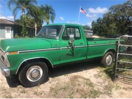 1979 Ford F250 (CC-1645016) for sale in Cadillac, Michigan