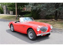 1956 Austin-Healey 100-4 BN2 (CC-1645126) for sale in Astoria, New York