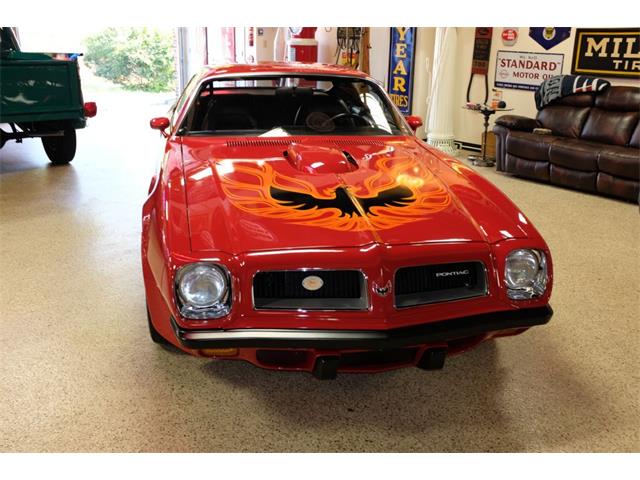 1974 Pontiac Firebird Trans Am (CC-1645532) for sale in Downington, Pennsylvania