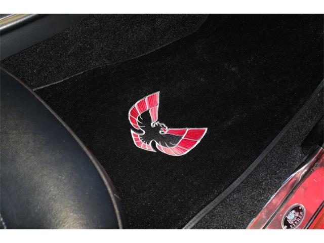 1974 Pontiac Firebird Trans Am (CC-1645532) for sale in Downington, Pennsylvania