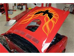 1974 Pontiac Firebird Trans Am (CC-1645532) for sale in Downington, Pennsylvania