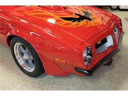 1974 Pontiac Firebird Trans Am (CC-1645532) for sale in Downington, Pennsylvania