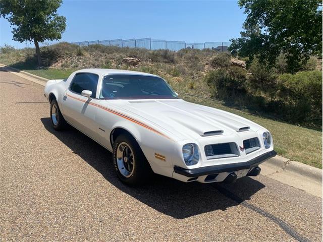 1975 Pontiac Firebird for Sale | ClassicCars.com | CC-1645730