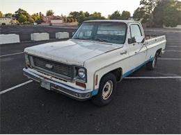 1974 Chevrolet Cheyenne (CC-1646047) for sale in Cadillac, Michigan