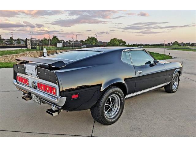 1971 Ford Mustang (CC-1646323) for sale in Cadillac, Michigan