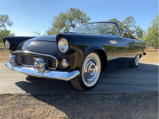 1955 Ford Thunderbird (CC-1646738) for sale in Fredericksburg, Texas